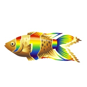 Rainbow Lucky Fish